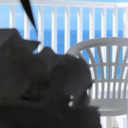 Appartamento Frente Mar, Playa De Americas